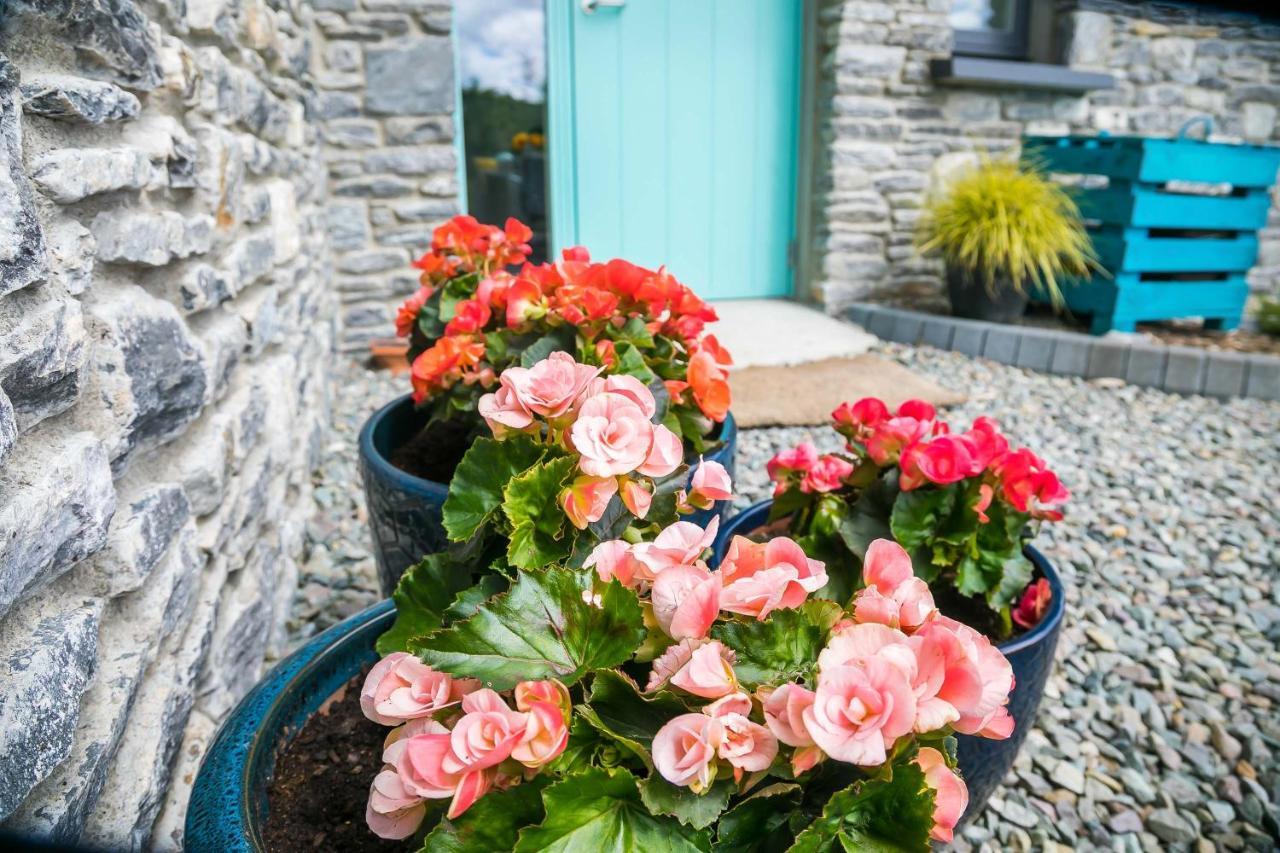 Ferienwohnung The Beeches Killarney Exterior foto
