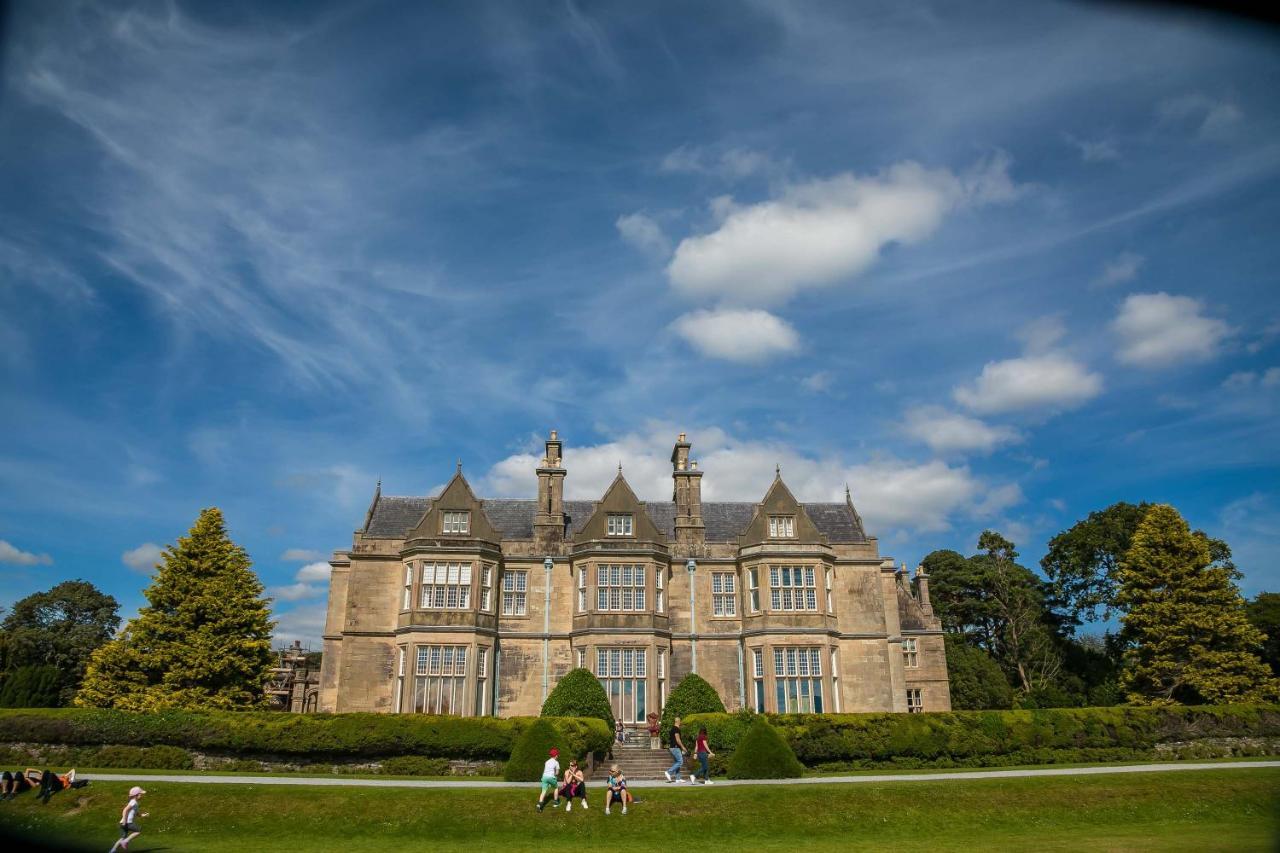 Ferienwohnung The Beeches Killarney Exterior foto